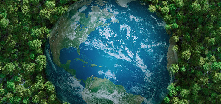 Coloray participa activamente en la causa mundial de protección del medio ambiente.